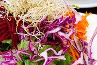 Aux Vivres Montreal: Vegan Restaurant Guide, Menu & Hours