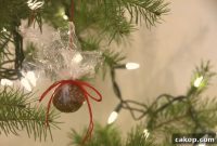 Apricot and Nut Holiday Ornaments: DIY Natural Decorations