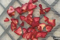 Dehydrated Food Mastery: Smart Shopping and Pantry Prep Guide