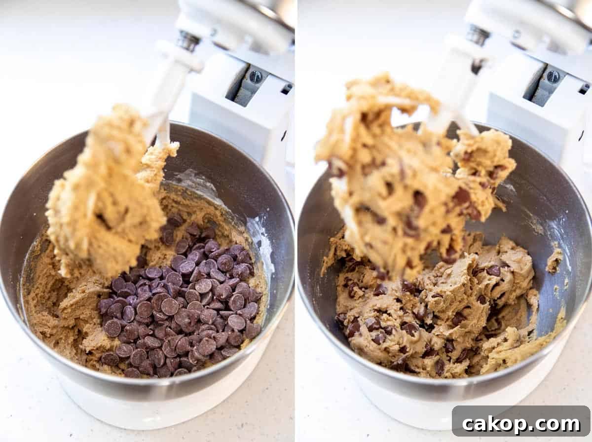 Chewy Milk Chocolate Chip Cookies Recipe for Perfect Cookies 7 Milk chocolate chips are added to the cookie dough.