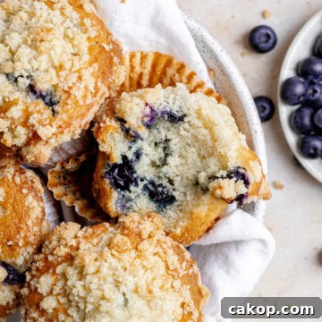 Blueberry muffins thumbnail