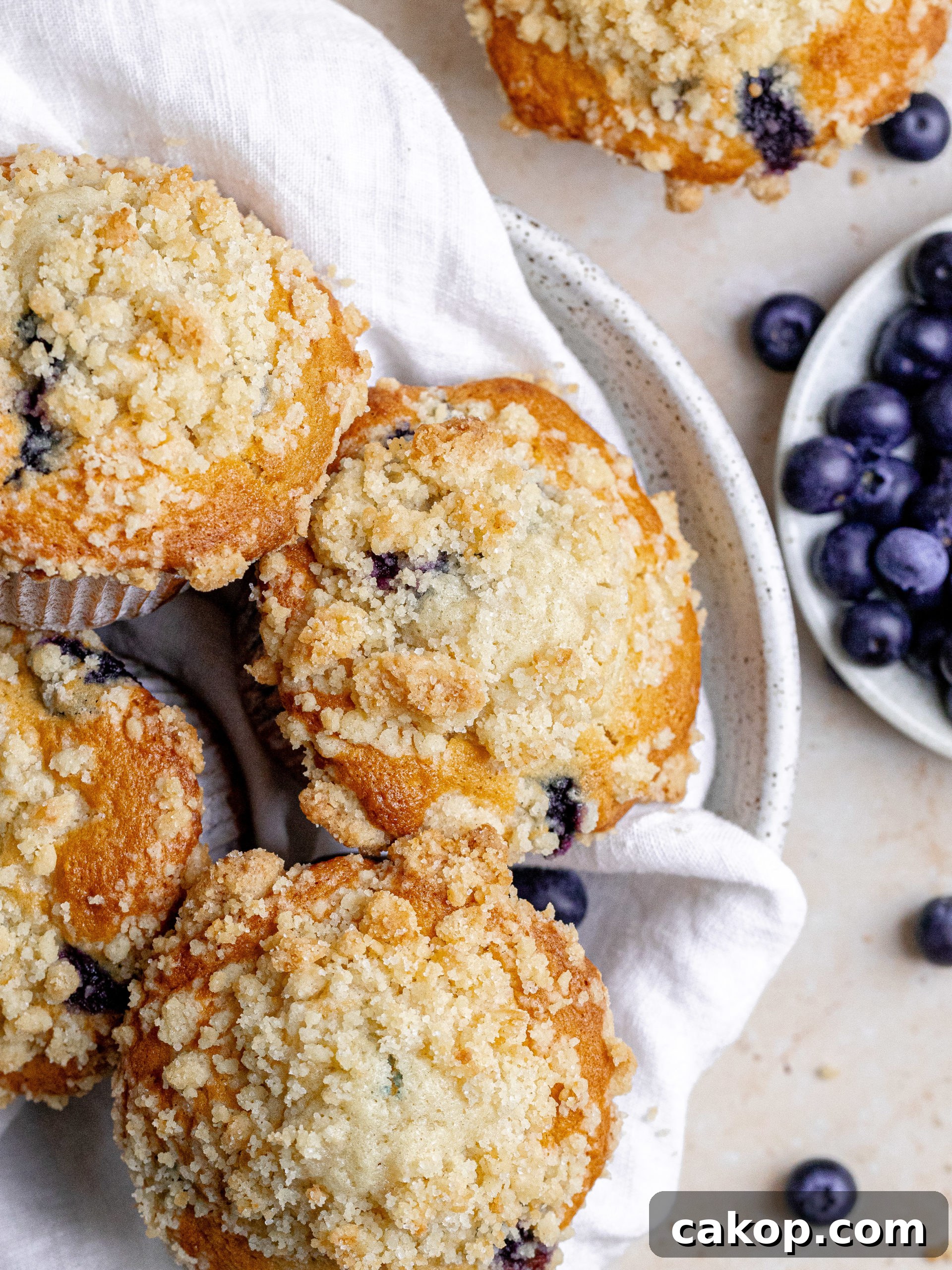 Blueberry muffins closeup