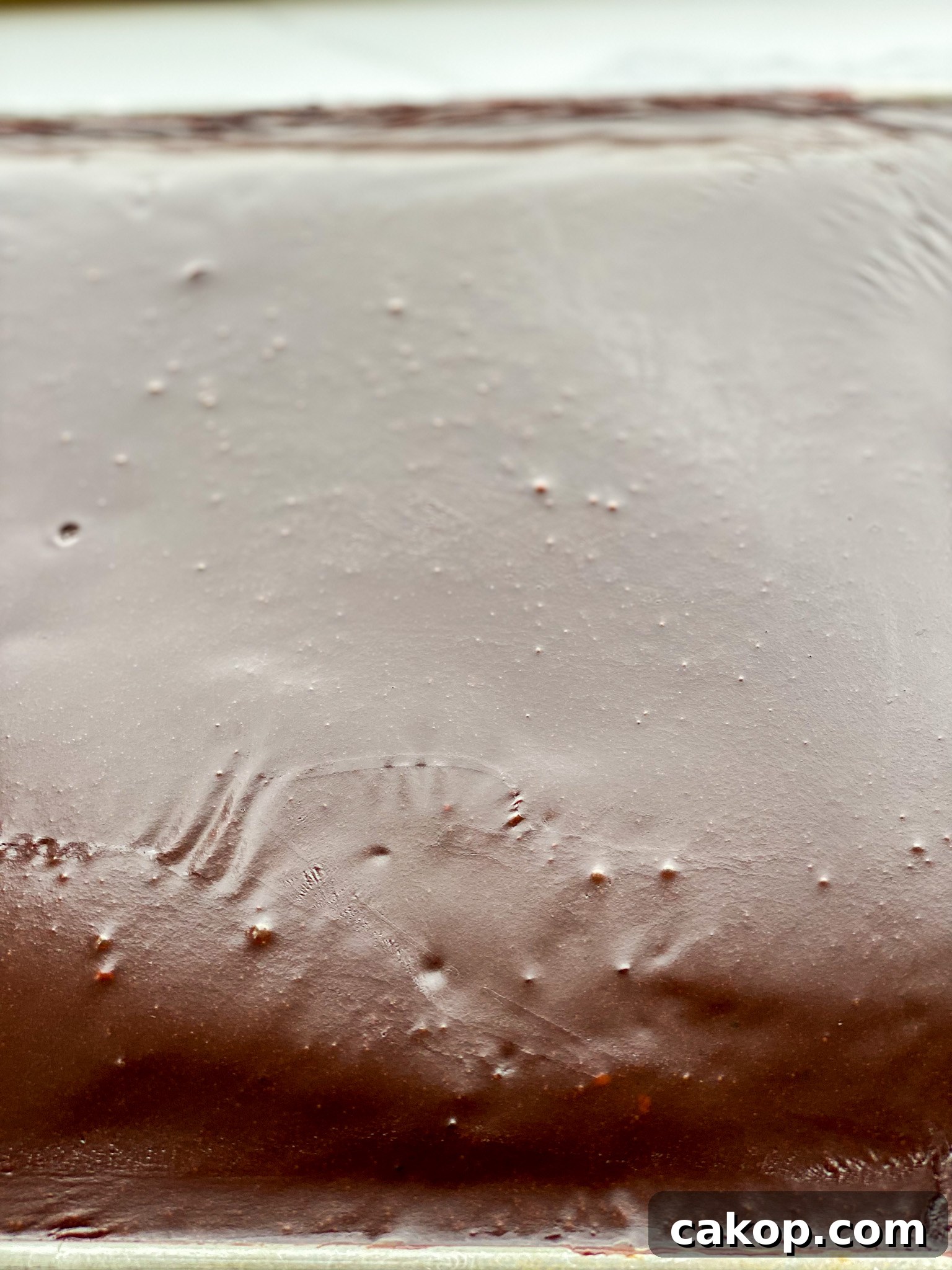 Classic Texas Sheet Cake Recipe: Rich Chocolate Cake with Fudge Icing 4 img 10509 3