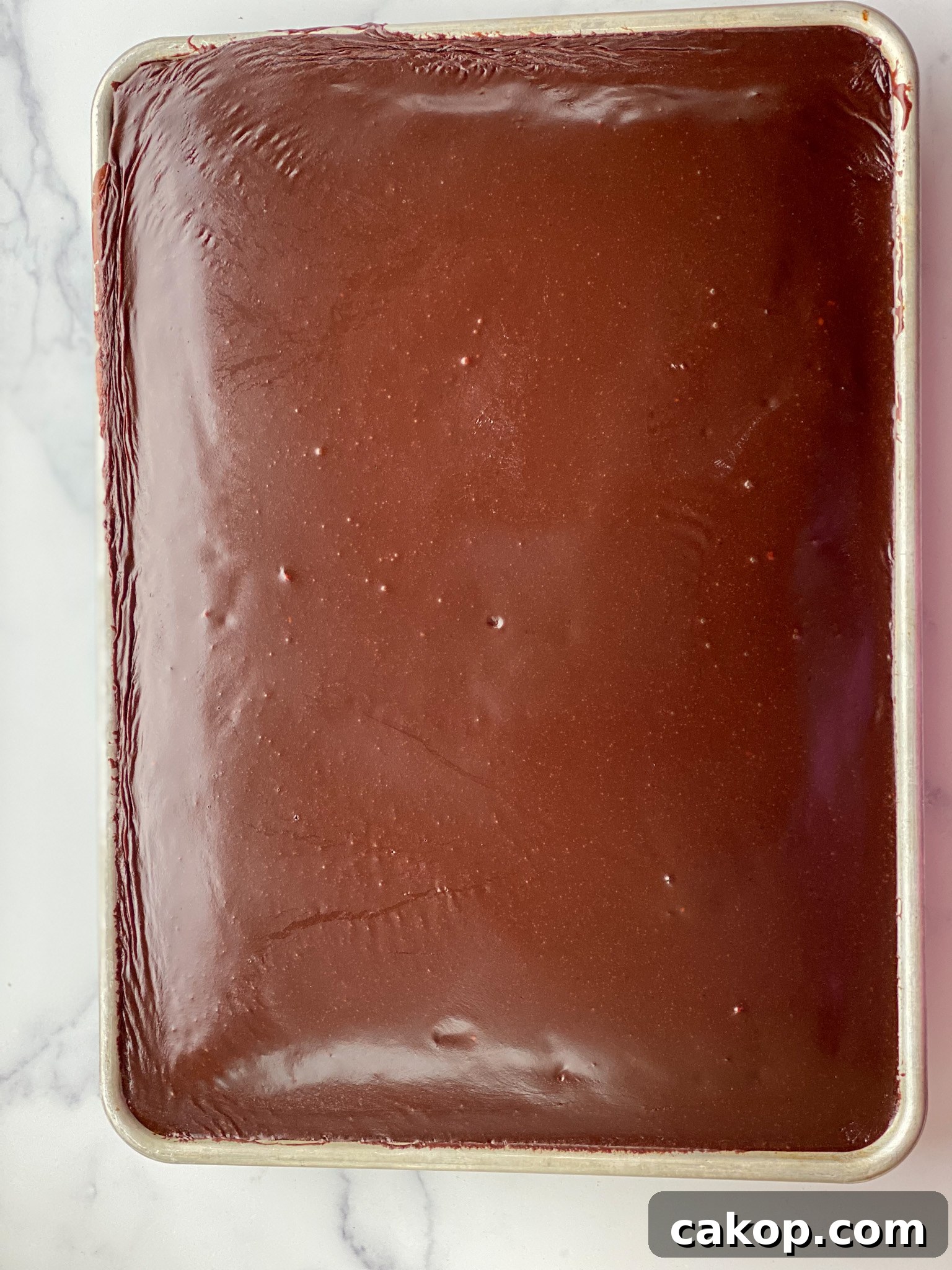 Classic Texas Sheet Cake Recipe: Rich Chocolate Cake with Fudge Icing 5 img 10509 4