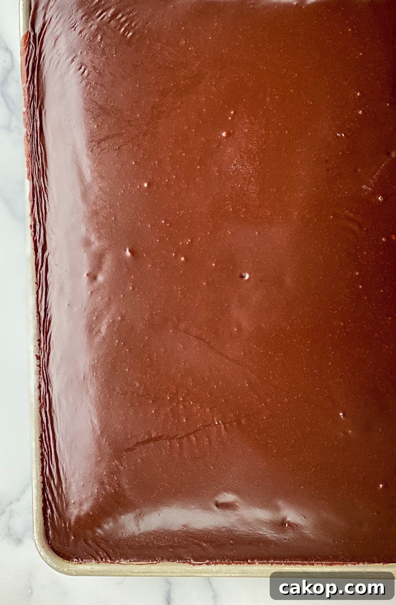 Classic Texas Sheet Cake Recipe: Rich Chocolate Cake with Fudge Icing 6 img 10509 5