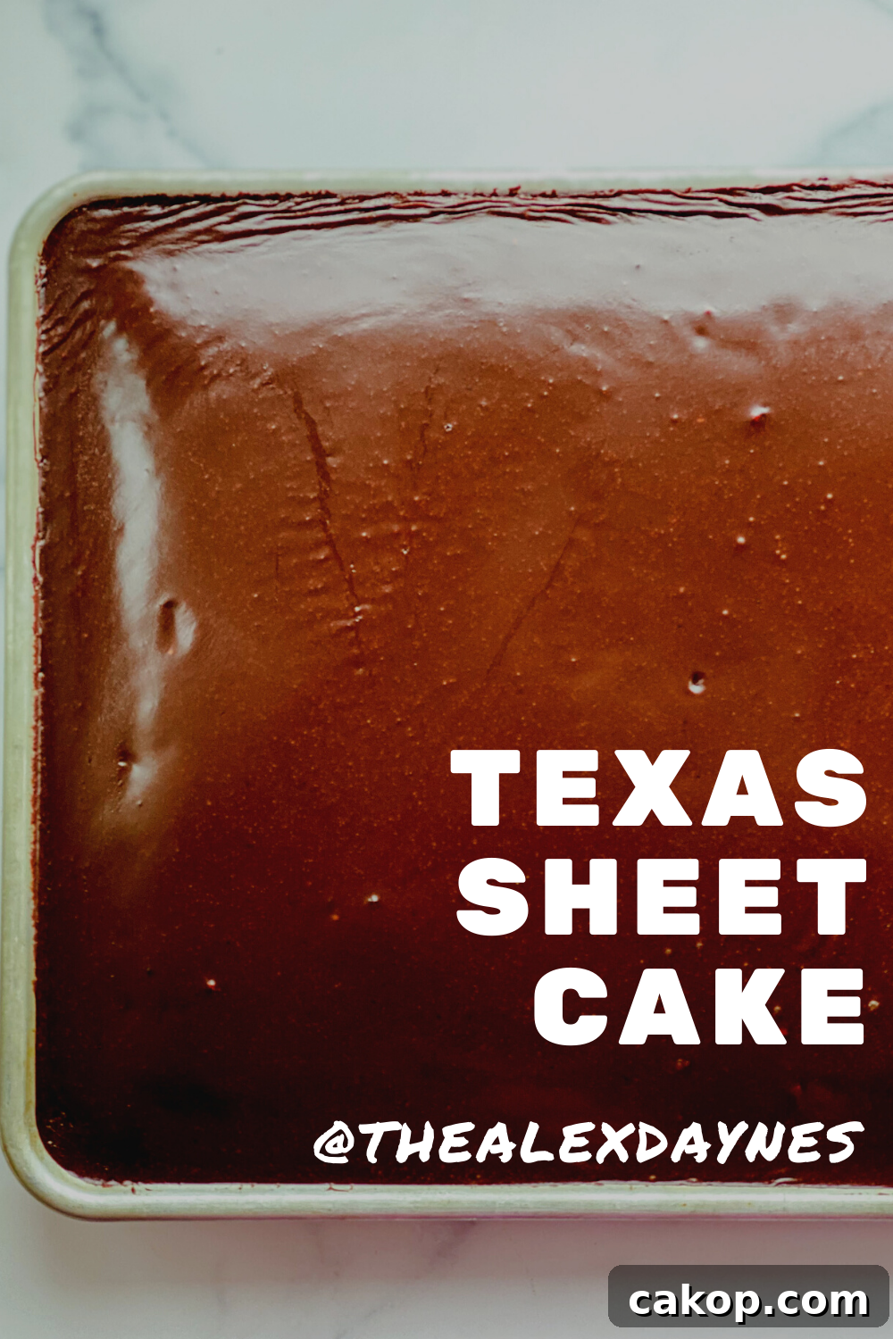 Classic Texas Sheet Cake Recipe: Rich Chocolate Cake with Fudge Icing 7 img 10509 6