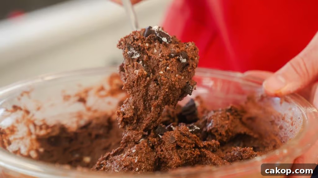 Chocolate Cottage Cheese Cookie Dough Recipe: Soft, Protein-Rich Treat 3 A close up of shot of Chocolate Cottage Cheese Cookie Dough being mined in a bowl.