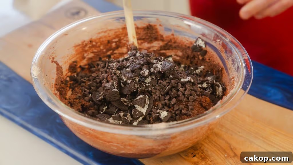 Chocolate Cottage Cheese Cookie Dough Recipe: Soft, Protein-Rich Treat 4 img 10575 3