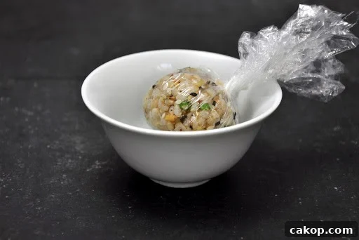 Rice ball
