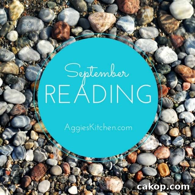 September Book Picks: Happiness for Beginners, One Plus One, Everything I Never Told You, The Good Girl, Left Neglected 2 September Reading List: Books I've read and books I'm currently reading
