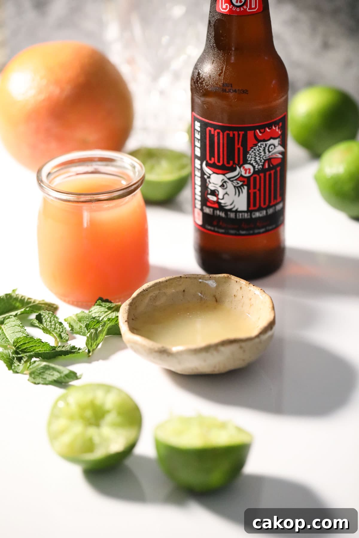 Grapefruit ginger beer mocktail ingredients