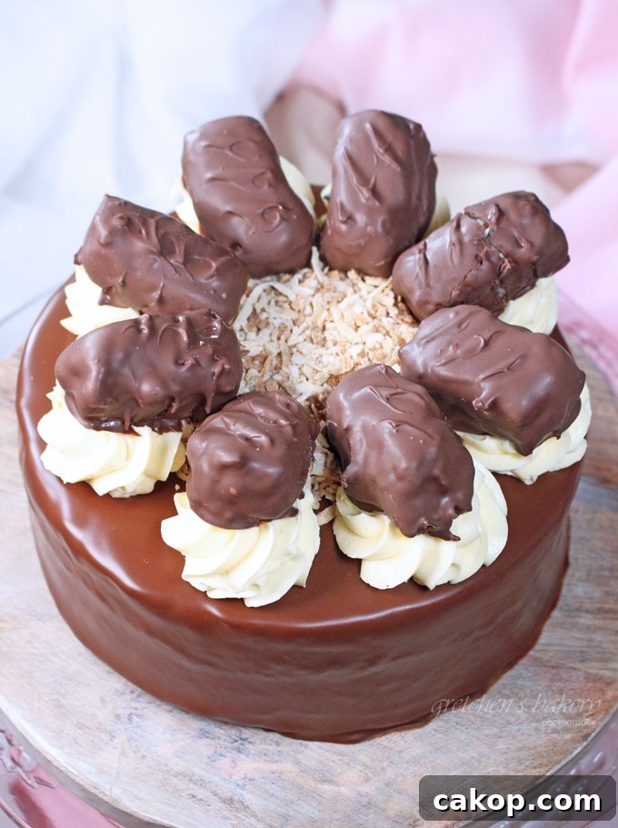 12 Must-Try Vegan Cakes From This Year 11 Coconut Joy Cheesecake