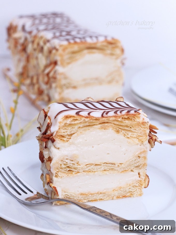 12 Must-Try Vegan Cakes From This Year 6 Vegan Napoleon Cake