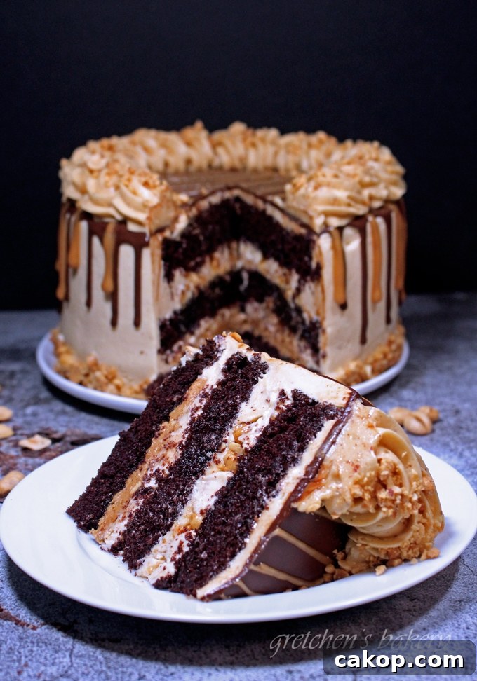 12 Must-Try Vegan Cakes From This Year 8 Snickers Cake ~Vegan