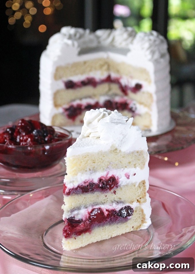 12 Must-Try Vegan Cakes From This Year 9 Vegan Chantilly Cake