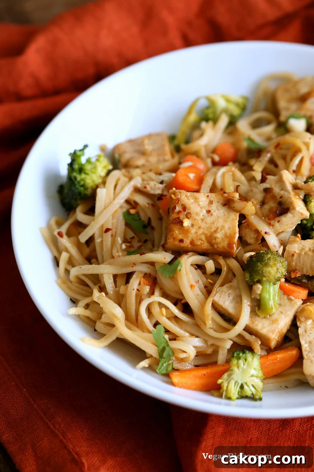 Tofu and Brown Rice Noodles in Hoisin Sauce. Vegan Hoisin Sauce Noodle Stir fry.
