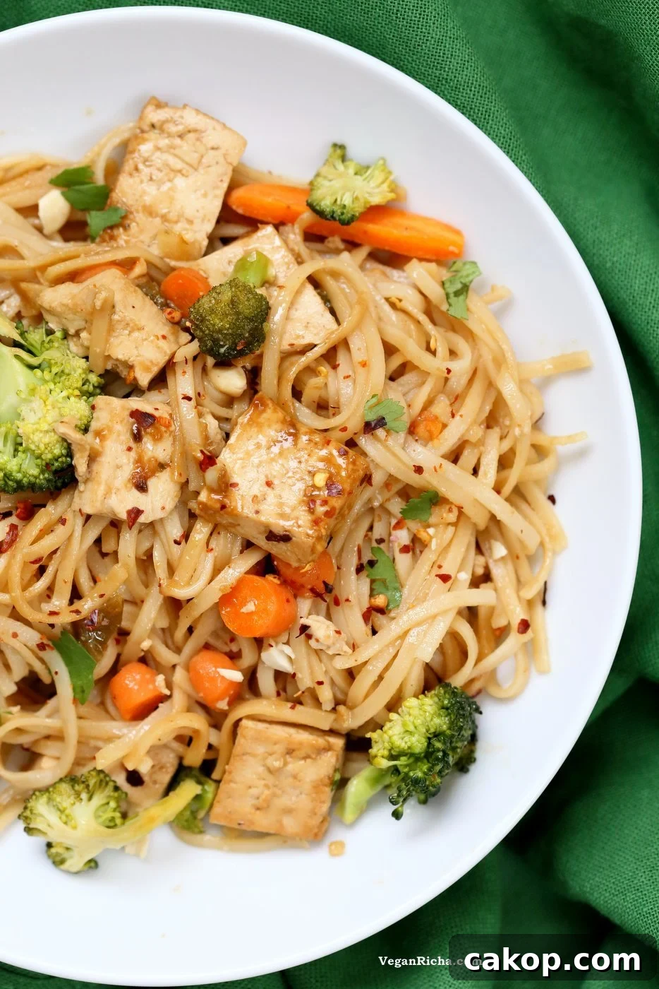 Tofu and Brown Rice Noodles in Hoisin Sauce. Vegan Hoisin Sauce Noodle Stir fry.