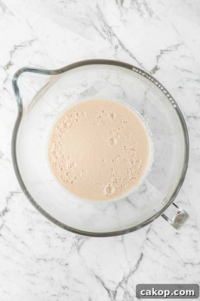 The yeast foaming in the base of a glass mixing bowl.