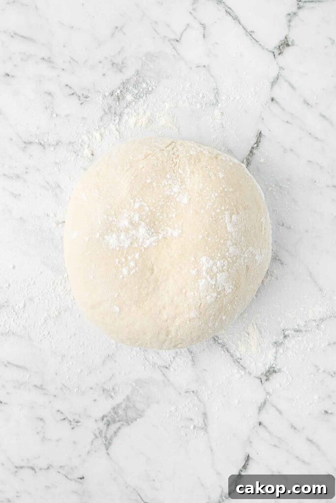 The kneaded pizza dough ready to rest.