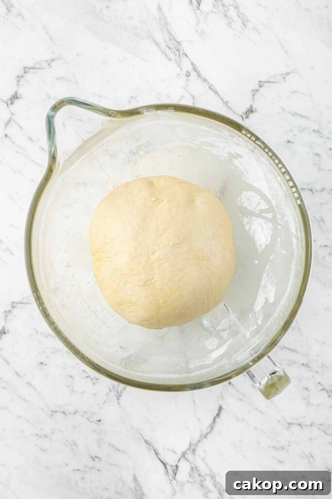 The dough in an oiled bowl ready to rise.