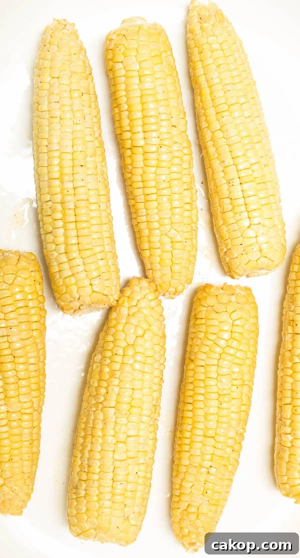 Overhead shot of seven smoked corn on the cobs on a white background
