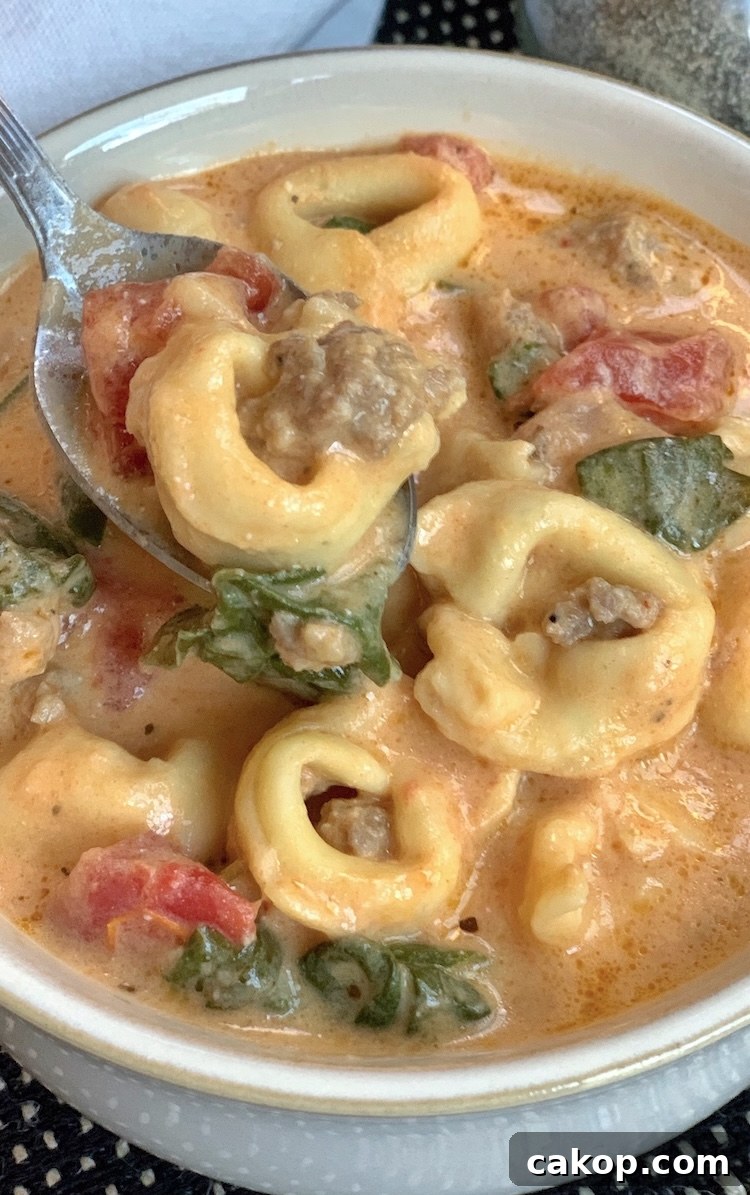 Creamy Italian Sausage Tortellini Soup Recipe 5 Close up view of a yummy slow cooker soup recipe made with cheese tortellini and ground sausage.