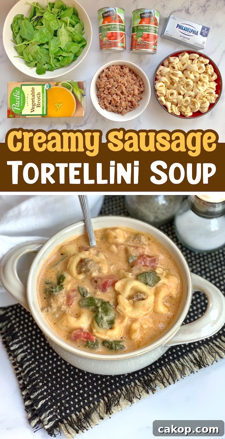 Creamy Italian Sausage Tortellini Soup Recipe 7 This amazing comfort food recipe is a huge hit for dinner in my house! Break out your crockpot and let's get this easy dinner recipe started. If you have a family with picky eaters to feed, everyone will get a full belly with this simple meal yet yummy meal. It's kid friendly and easy to make ahead of time with just 6 ingredients!