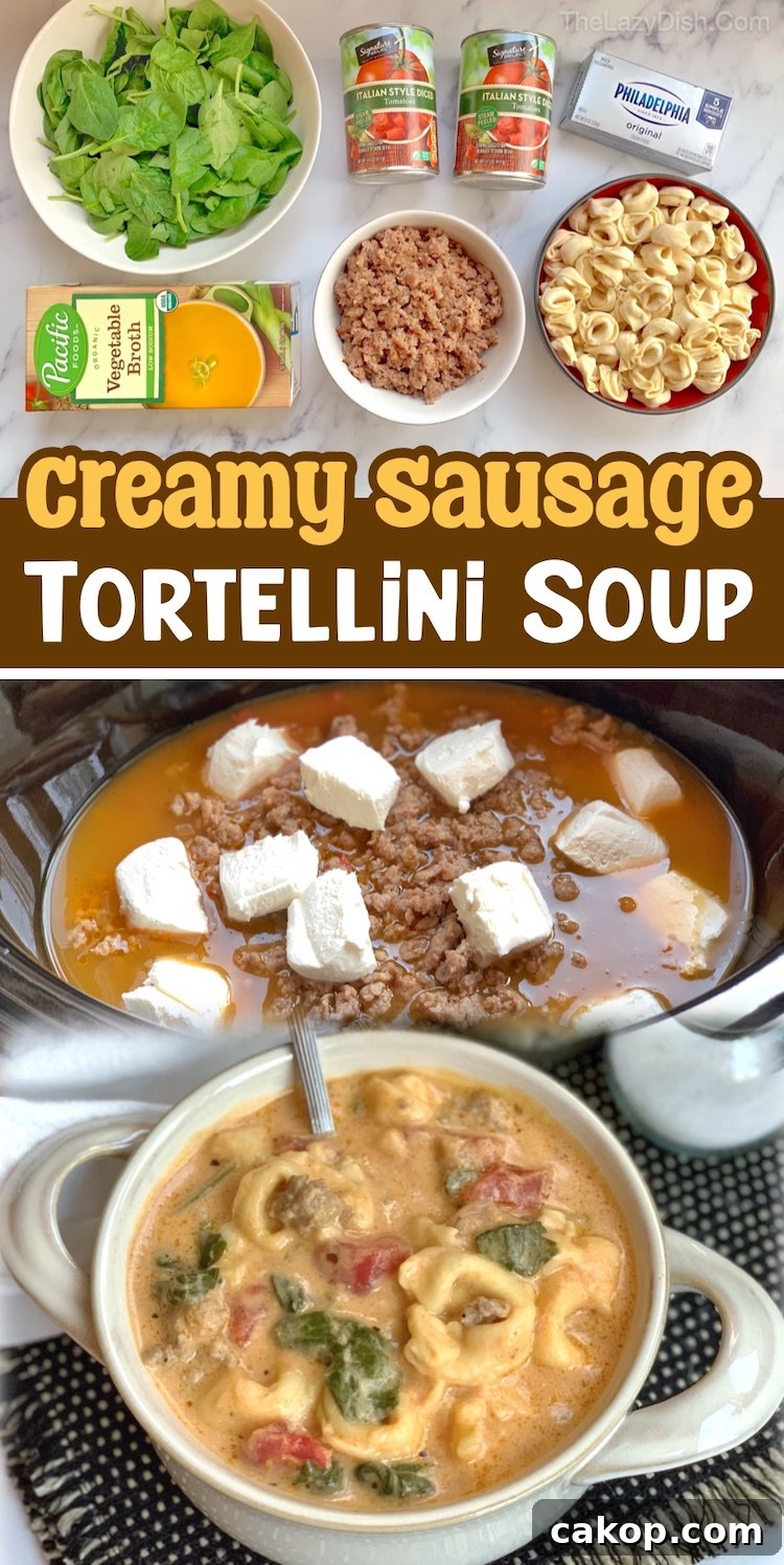 Creamy Italian Sausage Tortellini Soup Recipe 9 This easy slow cooker dinner is kid approved, simple to make, crazy good, and made with just a few simple and common ingredients! The ground sausage is packed full of flavor so there's need to even season this easy soup recipe. It's amazing comfort food even your picky eaters will gobble up without complaints.