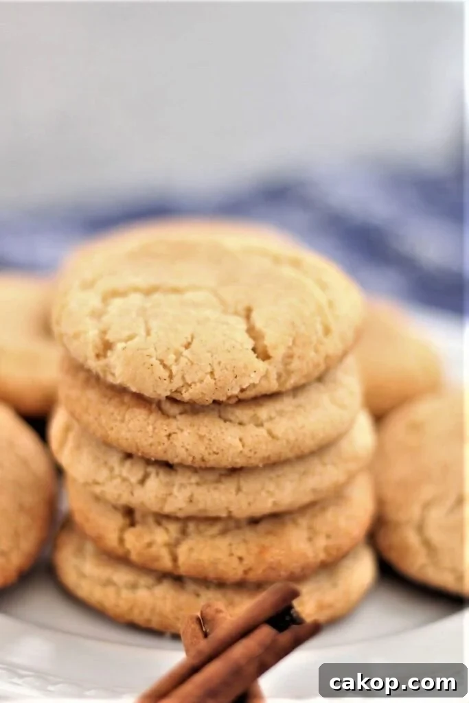 Perfect Gluten-Free Snickerdoodle Recipe for Soft, Chewy Cookies 2 gluten free snickerdoodles stacked on a white plate over a blue napkin