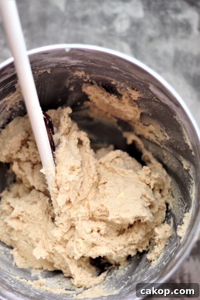 Perfect Gluten-Free Snickerdoodle Recipe for Soft, Chewy Cookies 4 snickerdoodle dough in mixing bowl