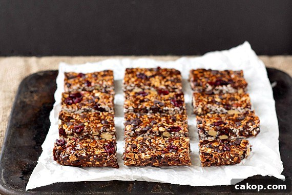 16 sliced vegan chocolate chip granola bars on parchment on a baking stone