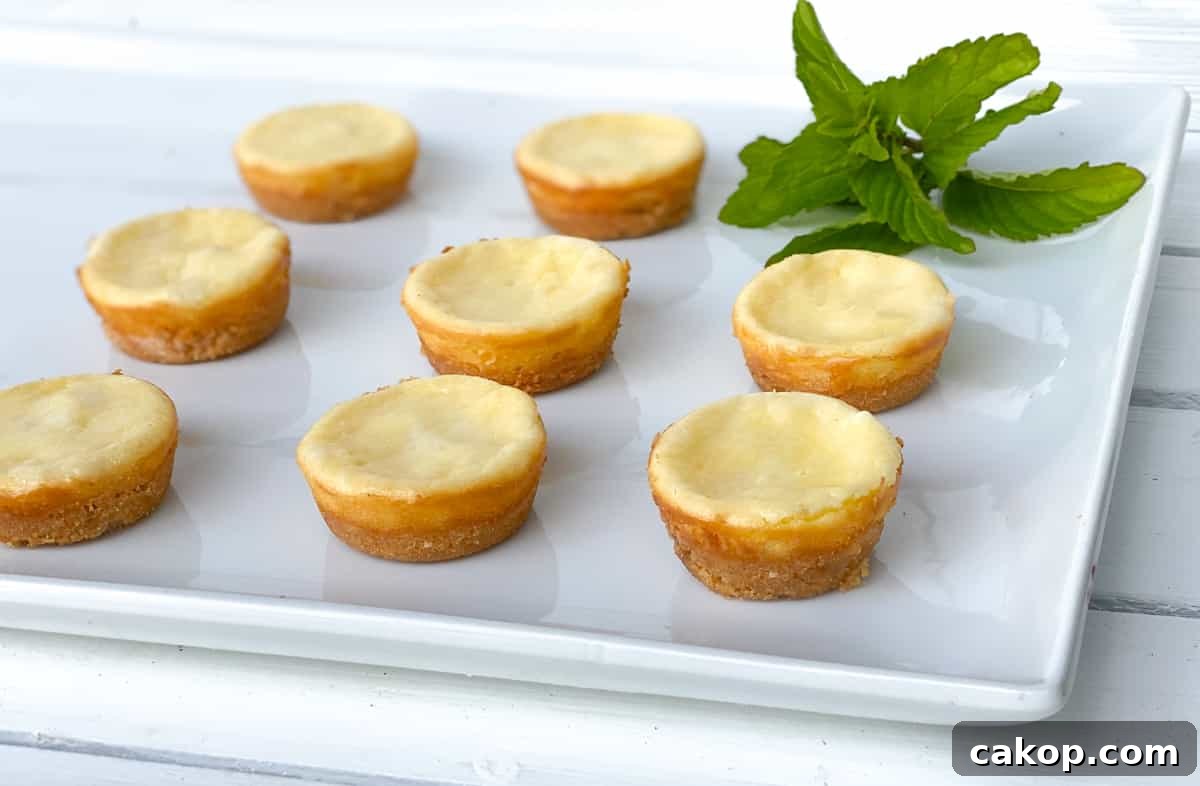Mini Cheesecakes with Cookie Crust — Irresistible Bite-Sized Treats 3 Mini plain cheesecakes with cookie crust on white plate.