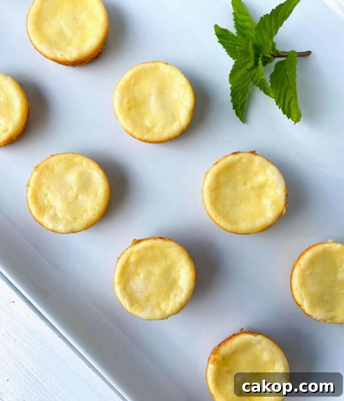 Mini Cheesecakes with Cookie Crust — Irresistible Bite-Sized Treats 6 mini plain cheesecake bites on a white plate with mint garnish.