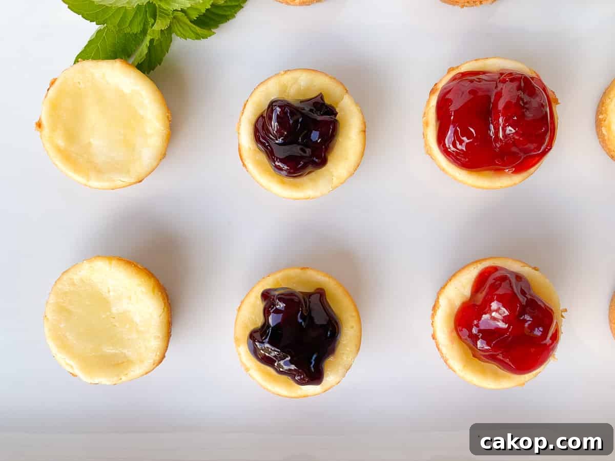 Mini Cheesecakes with Cookie Crust — Irresistible Bite-Sized Treats 10 bite-size mini cheesecakes with strawberry and blueberry topping on a white plate.