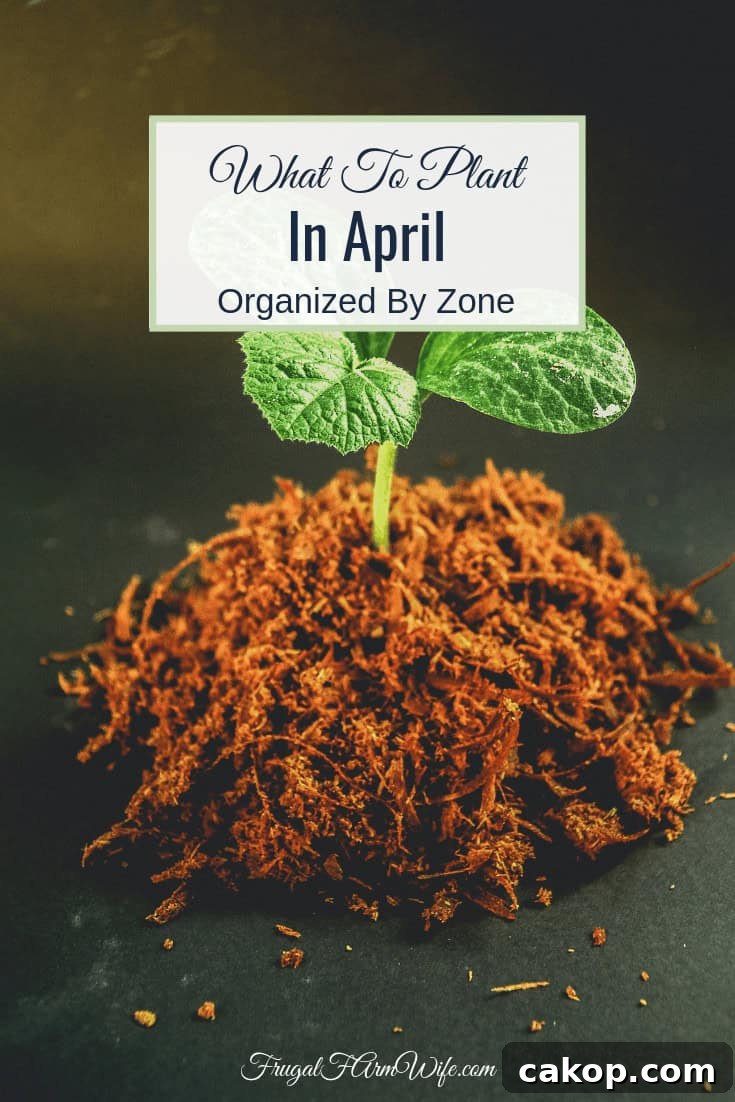 Wondering what to plant in April in your area? Here are the answers you’re looking for!