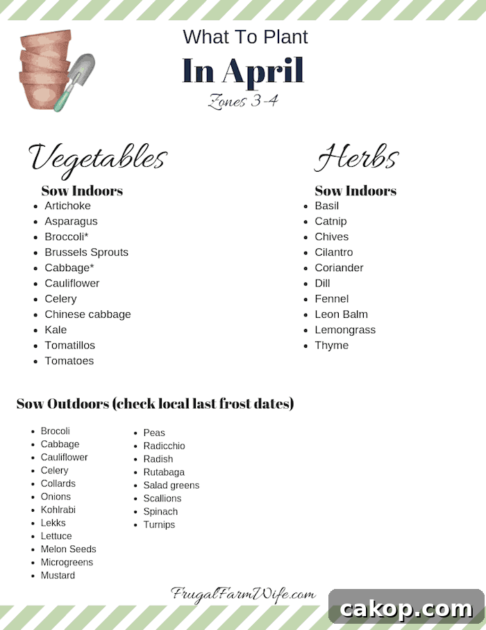 What to plant in zone 3-4 in April
