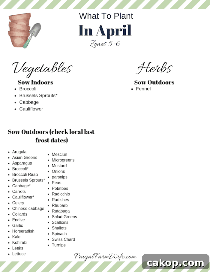 What to plant in April in zones 5-6