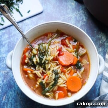 white bowl with vegetable orzo soup topped with fresh basil.