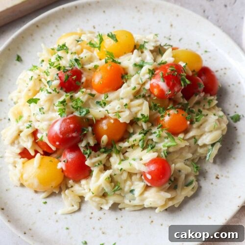 white plate with baked boursin orzo with tomatoes and parsley.