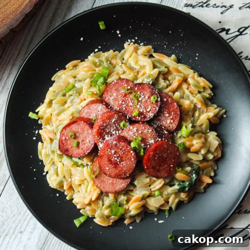 cheesy sausage orzo