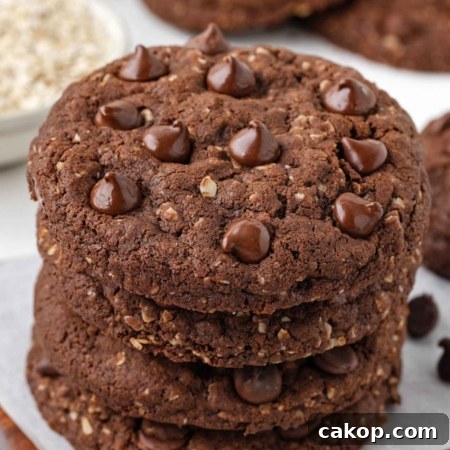 close-up of a stack of cocoa oatmeal cookies on a white table