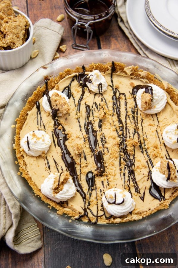 No-Bake Frozen Peanut Butter Pie Recipe for Creamy Dessert 2 a peanut butter pie with chocolate sauce and whipped cream in a glass pie plate
