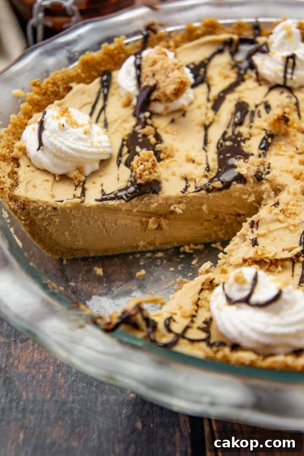 No-Bake Frozen Peanut Butter Pie Recipe for Creamy Dessert 6 a close up of frozen peanut butter pie in a glass pie plate with a slice removed
