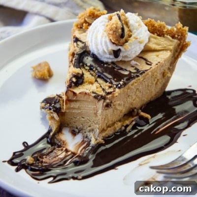 No-Bake Frozen Peanut Butter Pie Recipe for Creamy Dessert 7 img 13331 6
