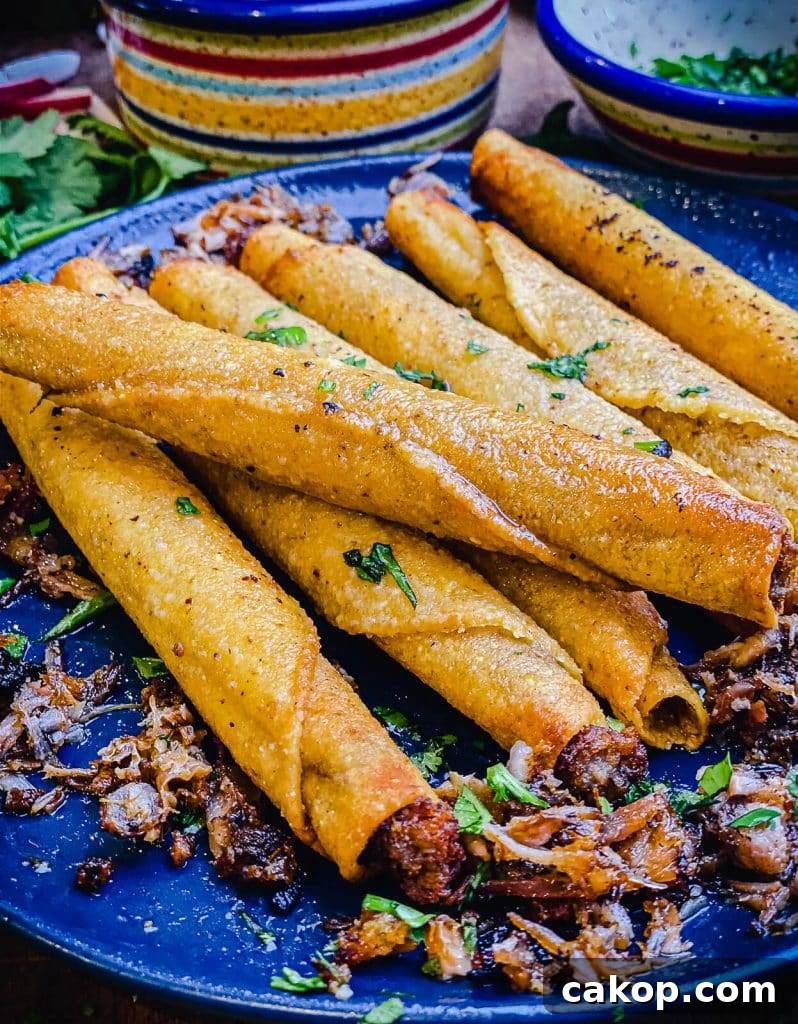 leftover carnitas recipes with cilantro 