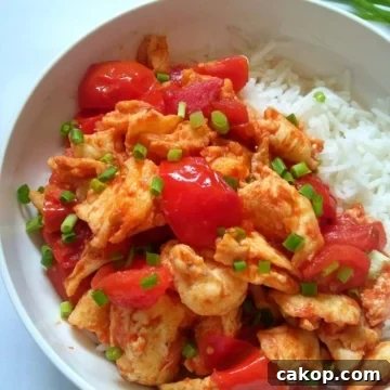 Image showing vibrant looking stir fried tomato egg served over white rice.
