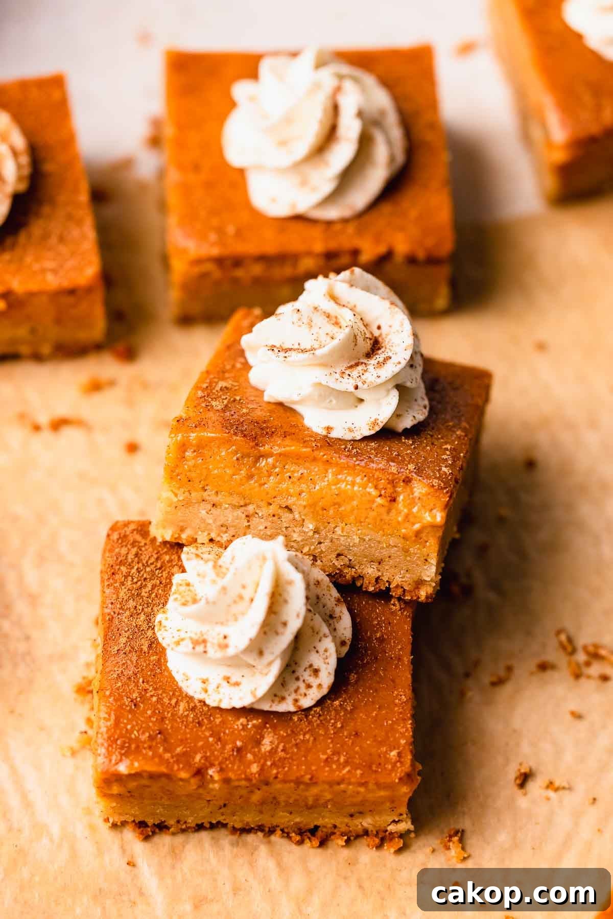 Creamy Pumpkin Pie Bars with Gingersnap Crust 2 close up of pumpkin pie bars