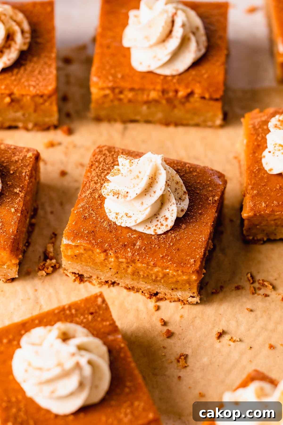 Creamy Pumpkin Pie Bars with Gingersnap Crust 16 pumpkin pie bars with whipped cream