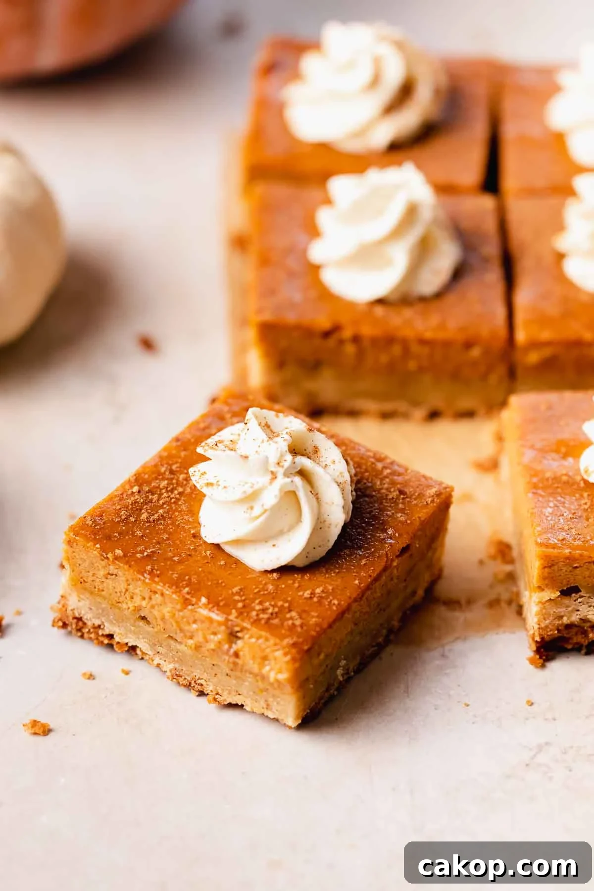 Creamy Pumpkin Pie Bars with Gingersnap Crust 18 pumpkin pie bars