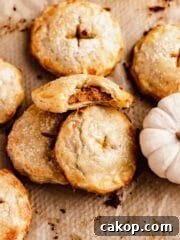 Bitten pumpkin hand pie